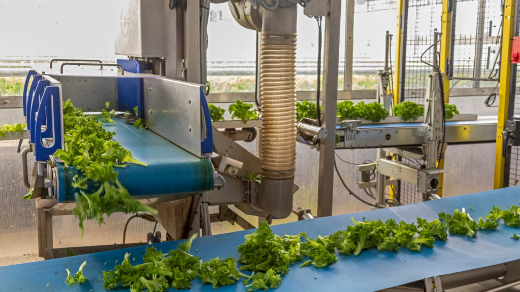 AI Business Automation