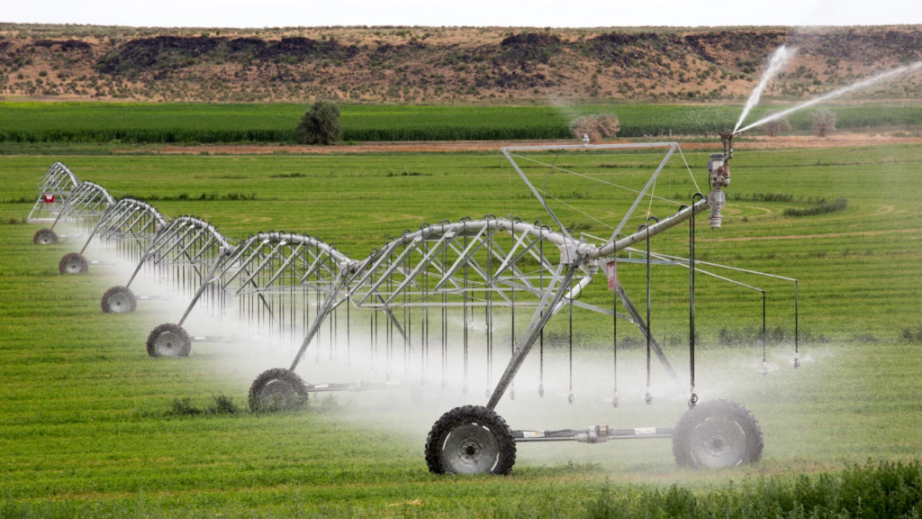 AI Generation Photobooth USA