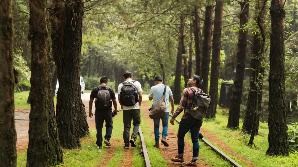 Best AI Mode Rank Tracking